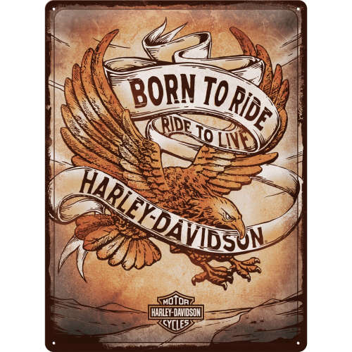 Blechschild 30x40 Harley Davidson Born to Ride Eagle